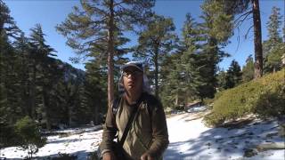Icehouse Canyon to Timber Mountain 12/12/15