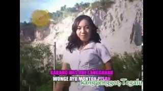 Download lagu AYAM BLOROK I im Lismaynita mp3 Download lagu AYAM BLOROK I im Lismaynita mp3