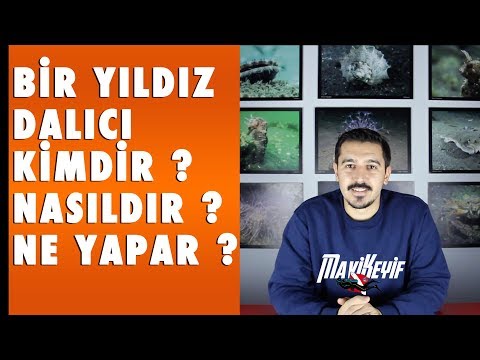 download lagu mp3 mp4 Dalici, download lagu Dalici gratis, unduh video klip Dalici