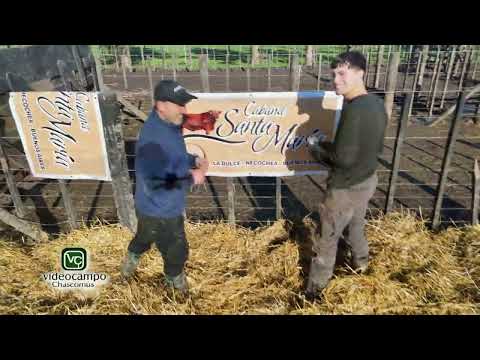 Cabaña Santa María - Leo Ciancaglini