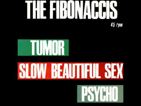 The Fibonaccis - Psycho (Bernard Herrmann Cover)