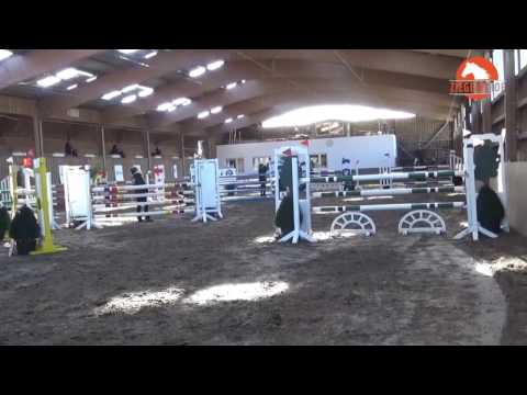 Sirius A (Stolzenberg x Contendro I) – Springpferde M – Hamburg Sülldorf 2017