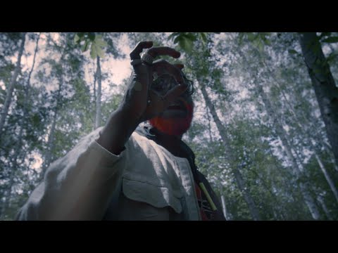 Video thumbnail for NÉBULEUSE