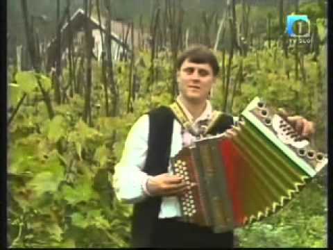 Ansambel Tonija Verderberja - Pri nas Belokranjcih