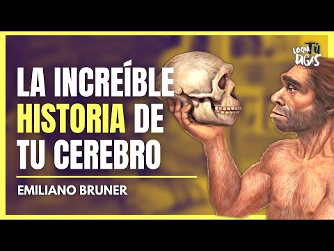 ¿Cómo Hemos Llegado a Ser SAPIENS? - Emiliano Bruner | Lo Que Tú Digas 325