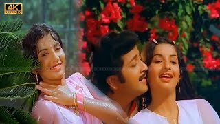 Download lagu ராகம் தாளம் பல்லவி பாடல் | raagam thaanam pallavi song | S. P. Balasubrahmanyam, Vani Jairam song . mp3