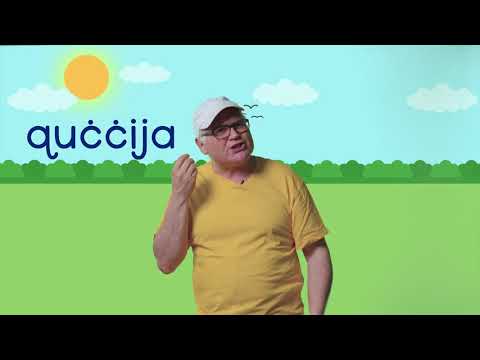 Episodju Nru 191 – Il-quċċija