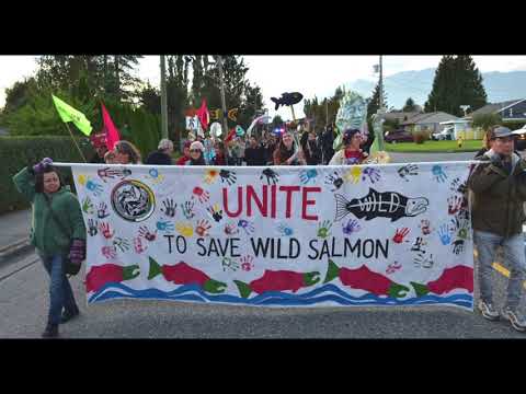 Barbara Dane: King Salmon Blues