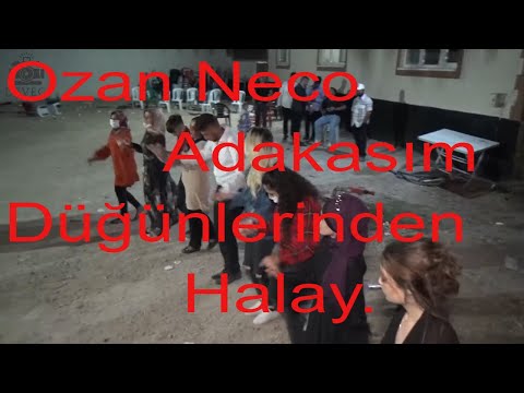 Ozan Neco ile Adakasım düğünlerinden Halay.