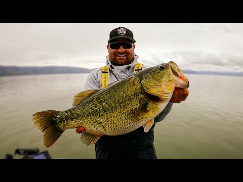 Raw Fishing Footage on Clearlake! Giant Bass Caught!! Spring Bass Fishing!