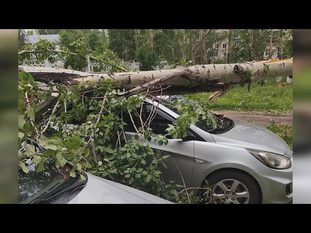 На Приангарье обрушилась непогода