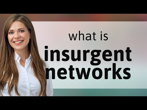 Understanding "Insurgent Networks"