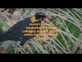 ​மைனா மைனா Myna Myna Song With Lyrics