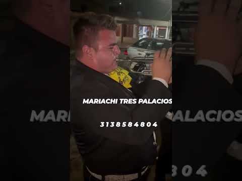 mariachis cucuta- mariachis en cúcuta norte de Santander Colombia-Mariachi Trespalacios