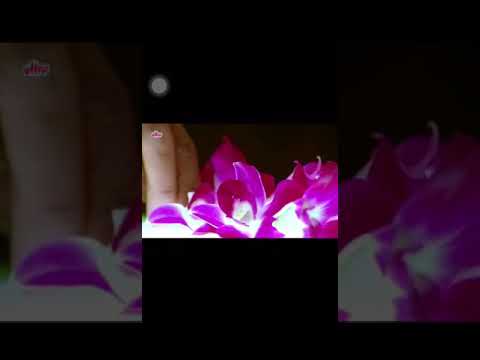 Первая брачная ночь💕 Бирингчи кеча Birinchi kecha kelin bilan😙 Mana ramantika