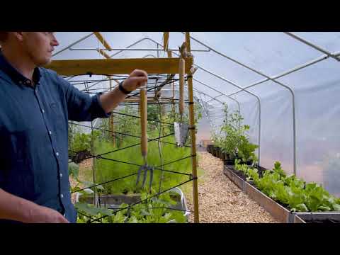 Redskap: Trädgårdsgaffel