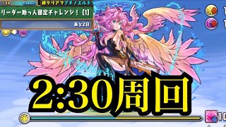 2:30高速周回【リーダー助っ人固定チャレンジ1】【パズドラ】【ボイス無し】