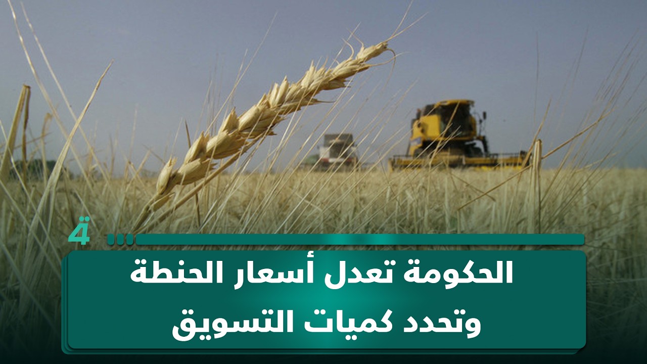 فيديو | استجابة لتظاهرات الفلاحين.. الحكومة تعدل أسعار الحنطة وتحدد كميات التسويق