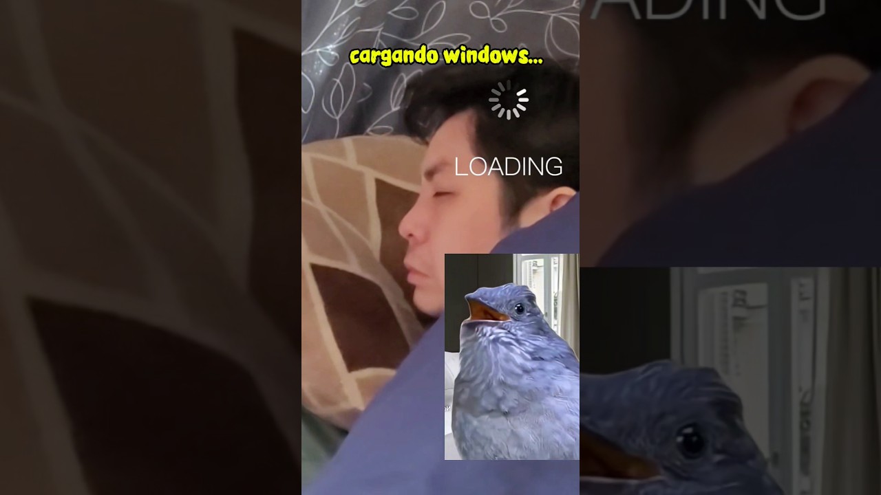 Aquí se trabaja duro para pagar las cuentas y comprar arroz 😆 #shorts #japón #humor