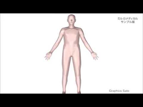 鶏の伝染性気管支炎:症状と治療