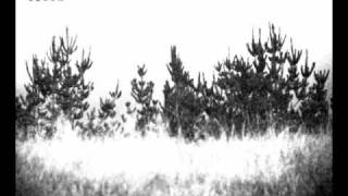 The Dodos - Black Night (Magik Version)