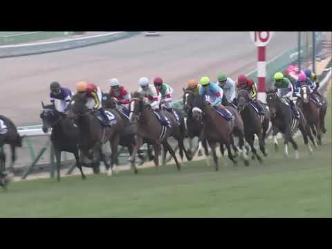 2019 Arima Kinen International Group 1 2500m