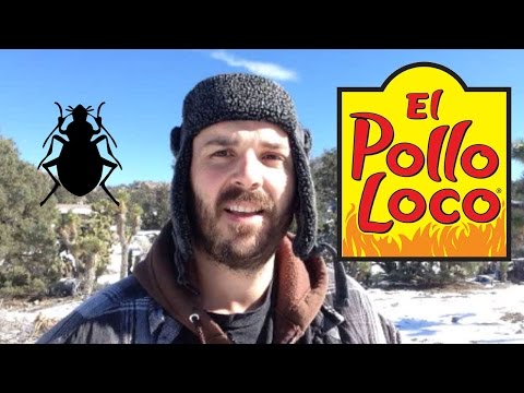 download lagu mp3 mp4 How Many Carbs Will Throw You Out Of Ketosis, download lagu How Many Carbs Will Throw You Out Of Ketosis gratis, unduh video klip How Many Carbs Will Throw You Out Of Ketosis