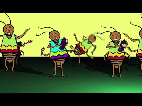 download lagu mp3 mp4 Cockroach In Spanish, download mp3 Cockroach In Spanish free download mp3, download mp3 Cockroach In Spanish