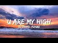 DJ Snake U Are My High Ft Future