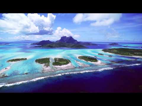 Sebastian Ingrosso & Alesso vs. Gotye - Calling Somebody (DJ Mortier & Moonflower Bootleg)