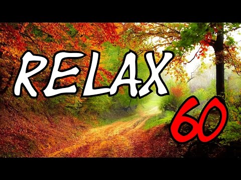 RELAX - 1 Stunde Vogelstimmen im Wald, Entspannung, Meditation