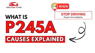 p245a explicação detalhada
