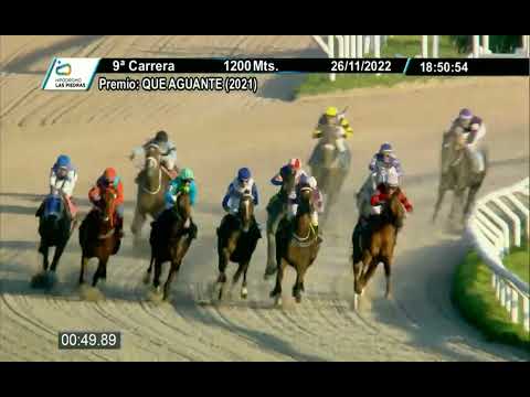 221126 c09 - DOG INTELIGENTE - HIPODROMO LAS PIEDRAS