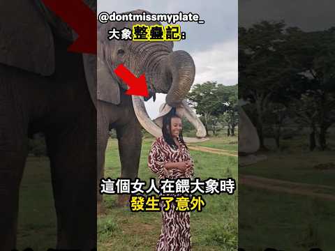 這頭大象用帽子整蠱了女人