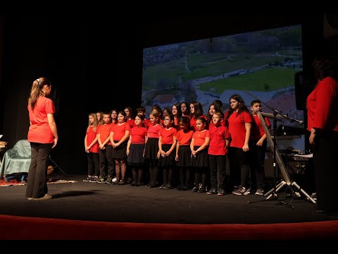 Himna škole "Dr Zoran Đinđić", učiteljica Mirjana Jovanović