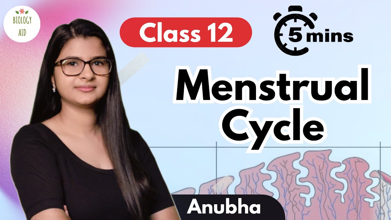 Class 12 || Menstrual Cycle under 5 mins !