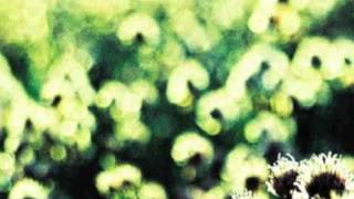 Pia Fraus Late Again