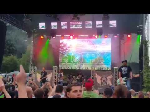 Alkehol - Travičko zelená