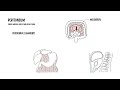 Peritoneum Anatomy