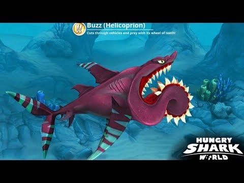 Hungry Shark World - BUZZ (Helicoprion) New Shark Gameplay