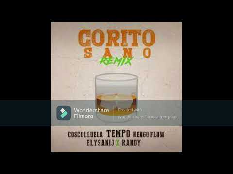 corito sano remix full (cancion original corito sano  TEMPO)