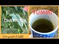 How To Make Mexican Chaya Tea