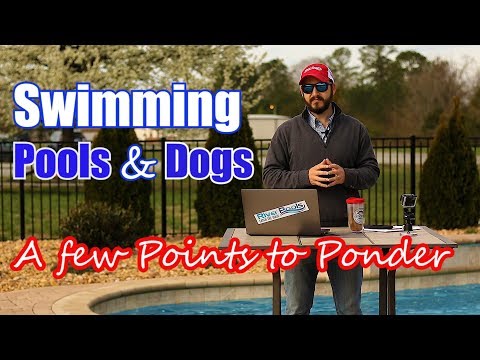 YouTube video about: How to get dog hair out of pool?
