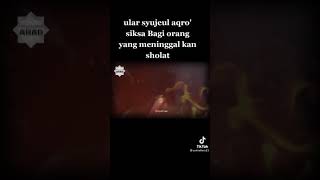 Download lagu Ular Syujau'ul Aqra' - Ular Didalam kubur mp3 Download lagu Ular Syujau'ul Aqra' - Ular Didalam kubur mp3