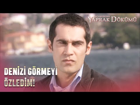 Şevket ve Sedef'in Vapur Yolculuğu! - Yaprak Dökümü Özel Bölüm