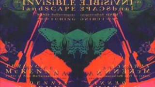 The Invisible Landscape: Peer Review (Terence McKenna) [FULL]