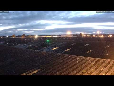 Agrilaser Autonomic | Laser Deterrent | Gulls at Dusk | NBC Environment