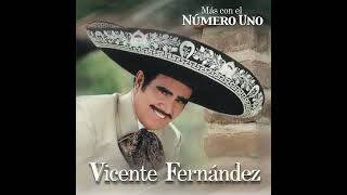 Vicente Fernández - el ayudante