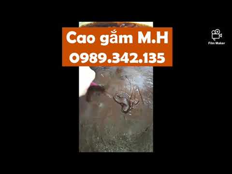 Cao gắm - đặc trị gút va xương khớp của dân tộc Tày