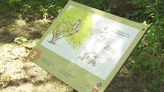 Knox County Public Library pushes summer reading